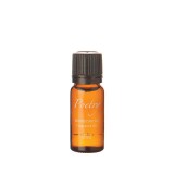 Moroccan Fig Fragranced Burning Oil