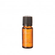 Amber Fragranced Burning Oils