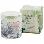 Madame Luna Succulent Candle Black Cinnamon