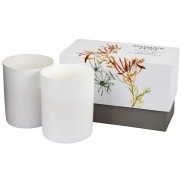 Madame Luna Set of 2 Candles Leucodendron