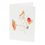 Botanical Card Fly Agaric