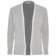 Rare Earth Joel Cardi